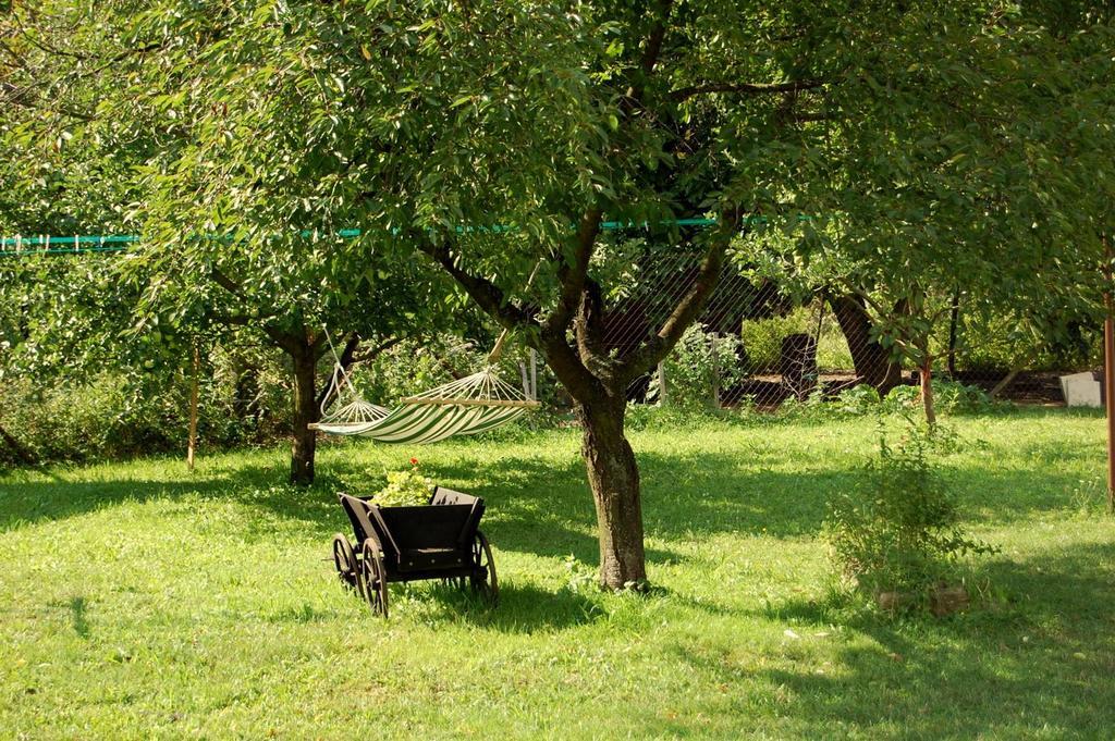 Willa Kozi Farma U Nydrlu Stara Cervena Voda Zewnętrze zdjęcie